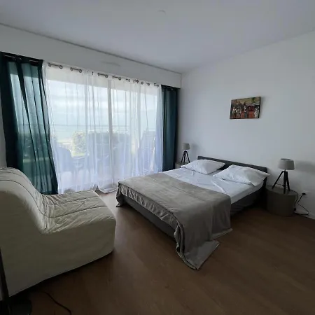 T2 Rdc Avec Jardinet Et Acces Direct Plage, Parking Securise, Proche Commerces - Fr-1-374-2 Daire Arcachon